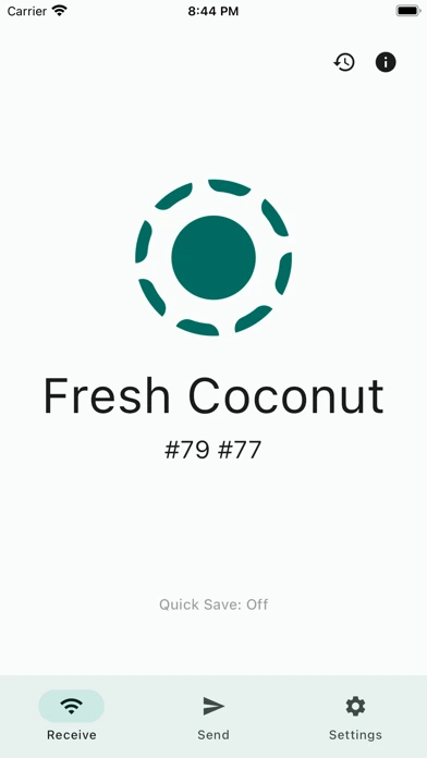 LocalSend — iPhone 1