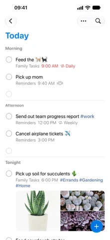 Apple Reminders — iPhone 1