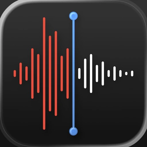 Apple Voice Memos app icon