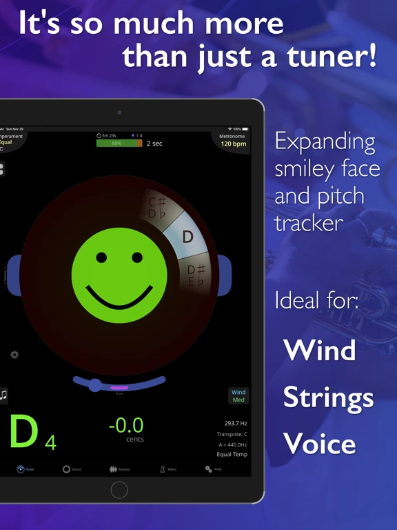 TonalEnergy Tuner — iPad 2