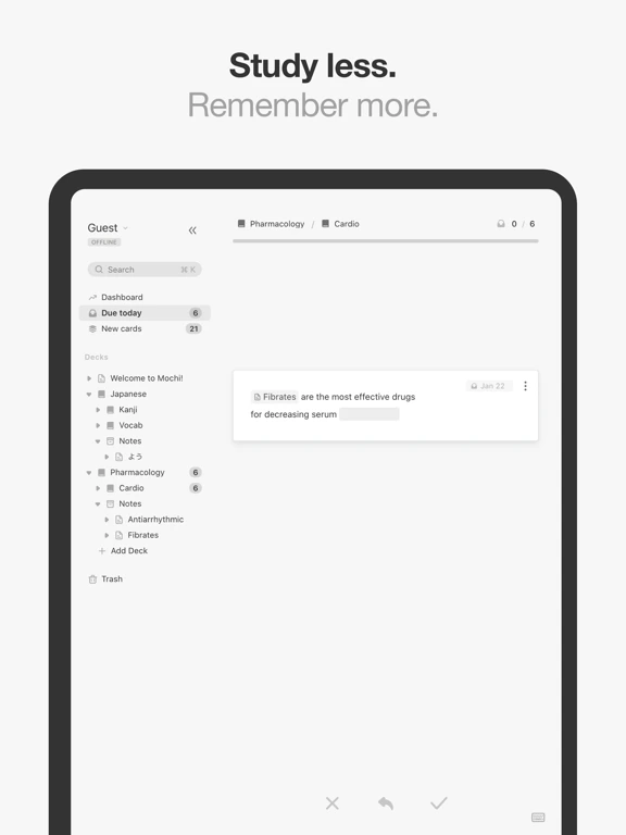 Mochi — iPad 2