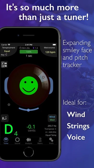 TonalEnergy Tuner — iPhone 1