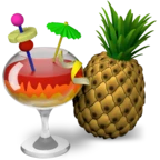 HandBrake app icon