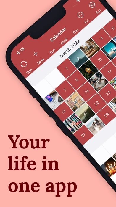Diarium — iPhone 1