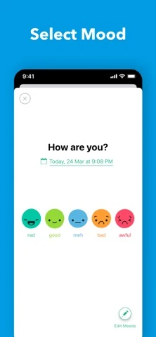 Daylio — iPhone 2