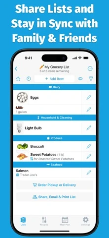 AnyList — iPhone 1